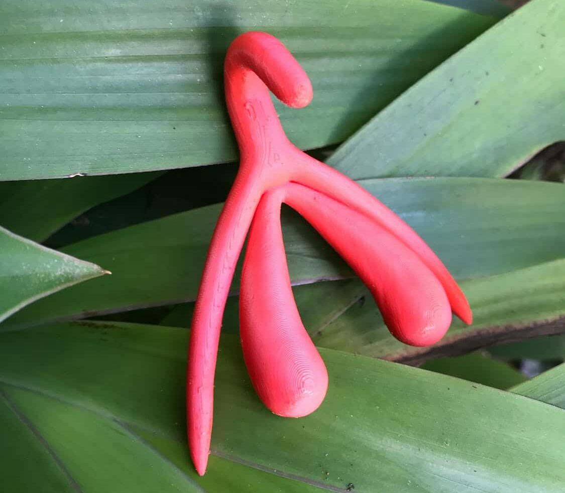 Périnée et sexualité